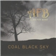 Alan Fox Band - Coal Black Sky